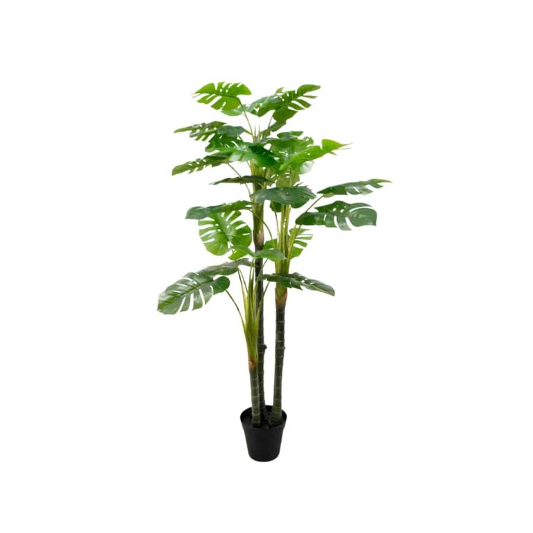 170cm Artificial Monstera