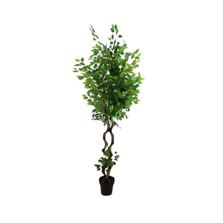 180cm Artificial Banyan