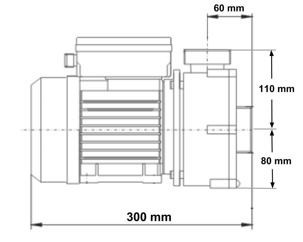 Pump Circ WTC50M 50Hz - LX Circulation