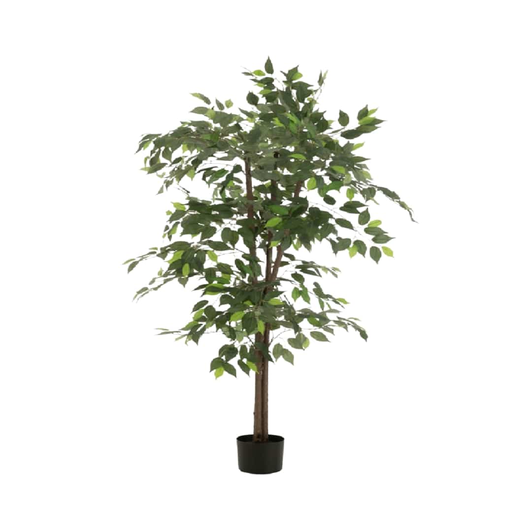 180cm Artificial Ficus