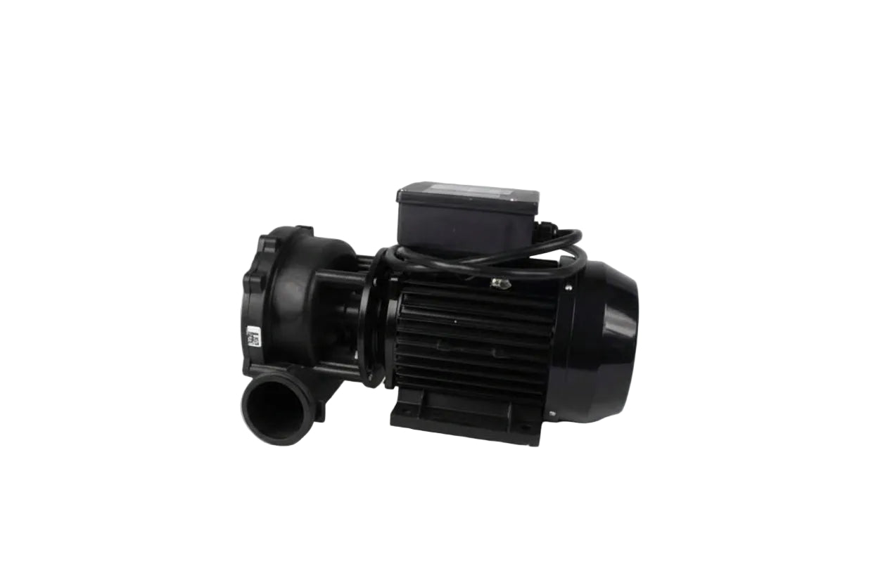 WW 4.8 Bullfrog spa pump 2.5HP 2‑speed 240V 50Hz massage and circulation pump