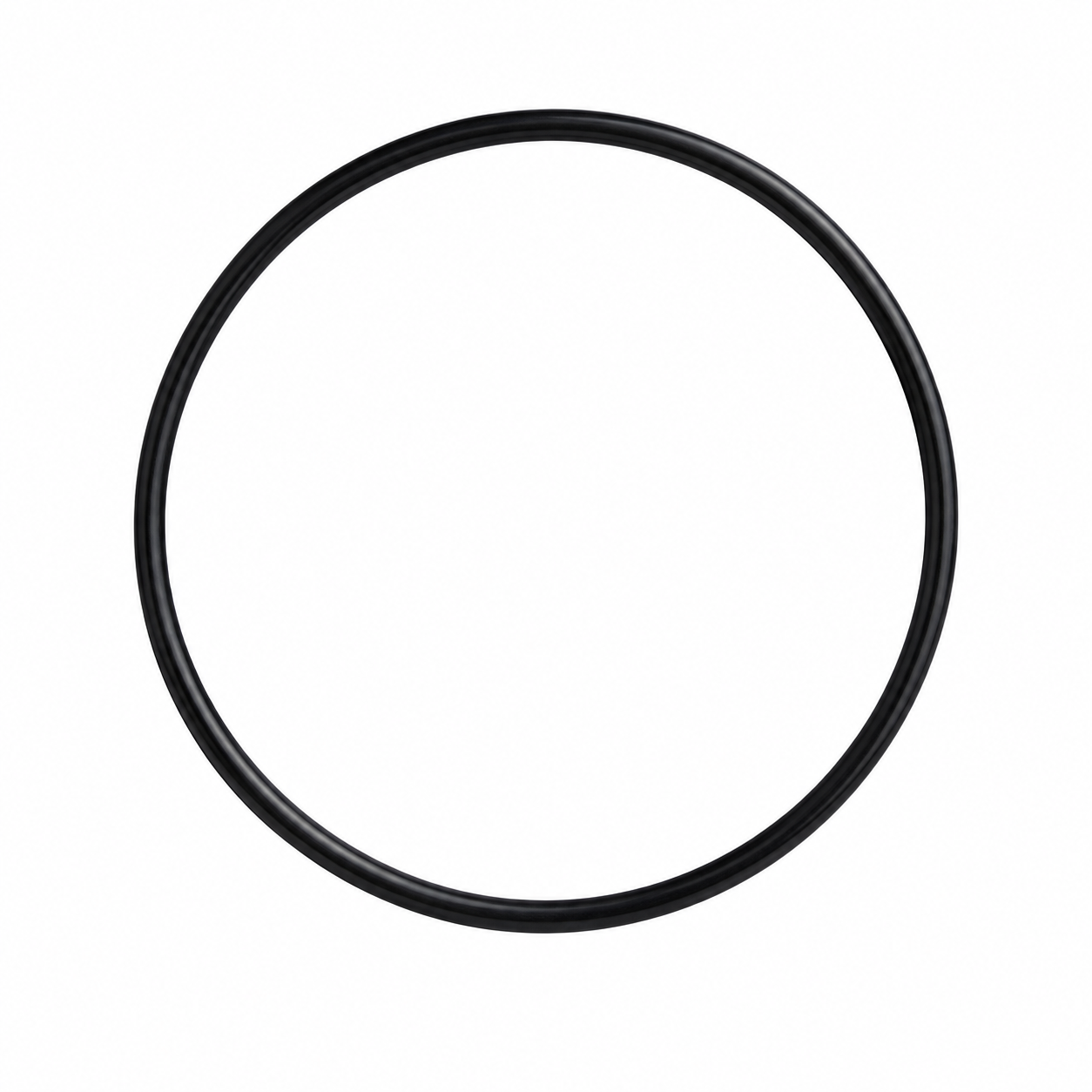 Aqua-flo Circ-Master O'Ring, Volute