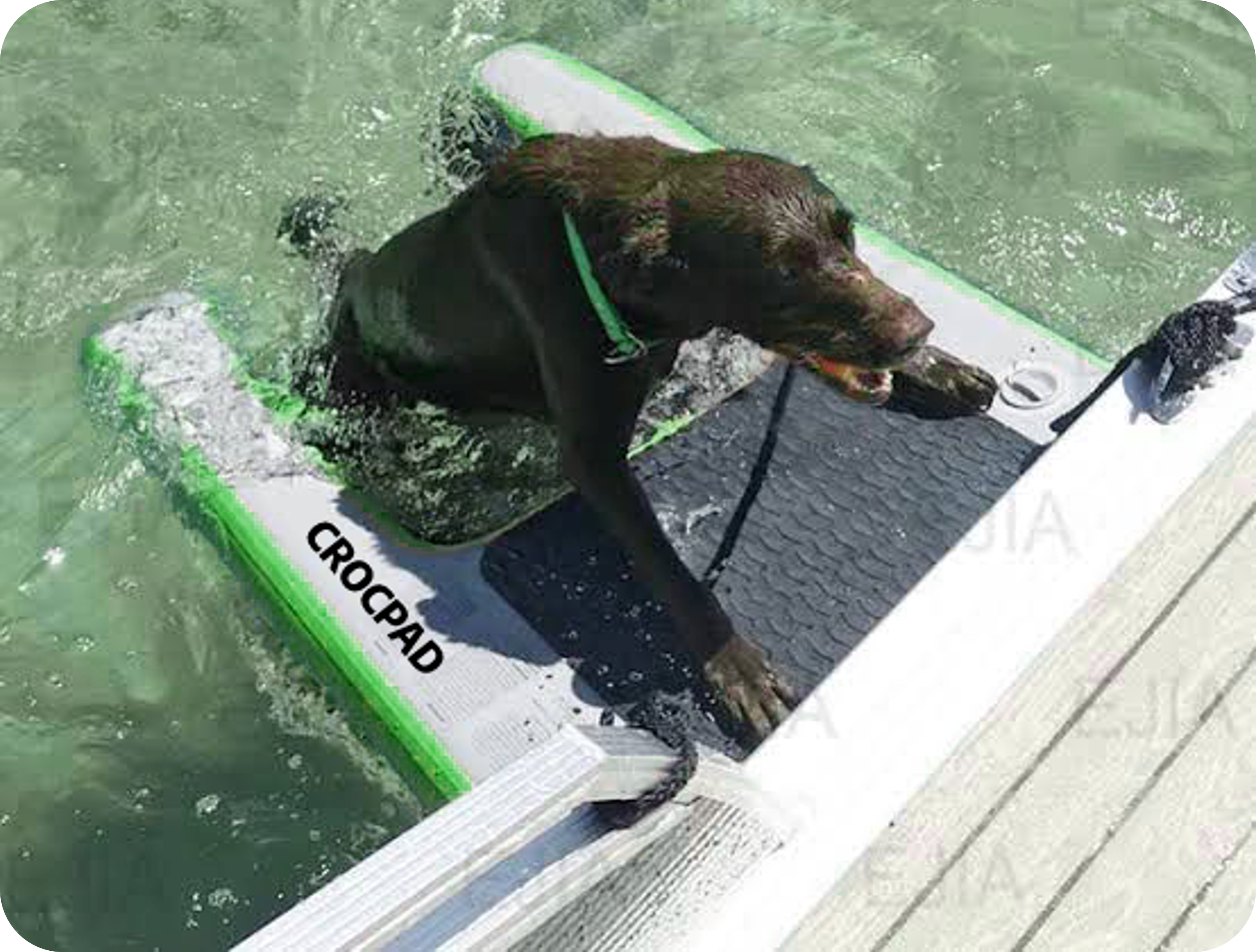 Crocpad Inflatable Dog Water Ramp for Boats, Pools & Docks