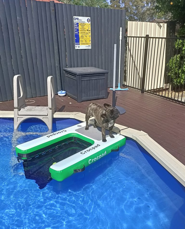 Crocpad Inflatable Dog Water Ramp for Boats, Pools & Docks