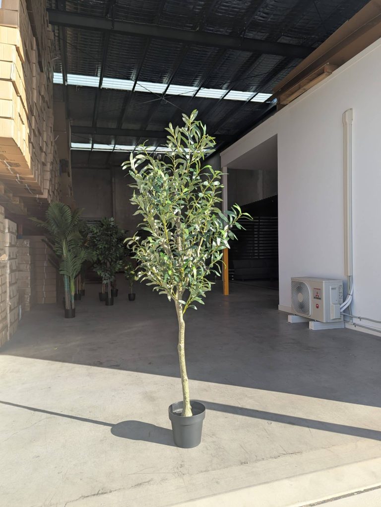 180cm Artificial Olive