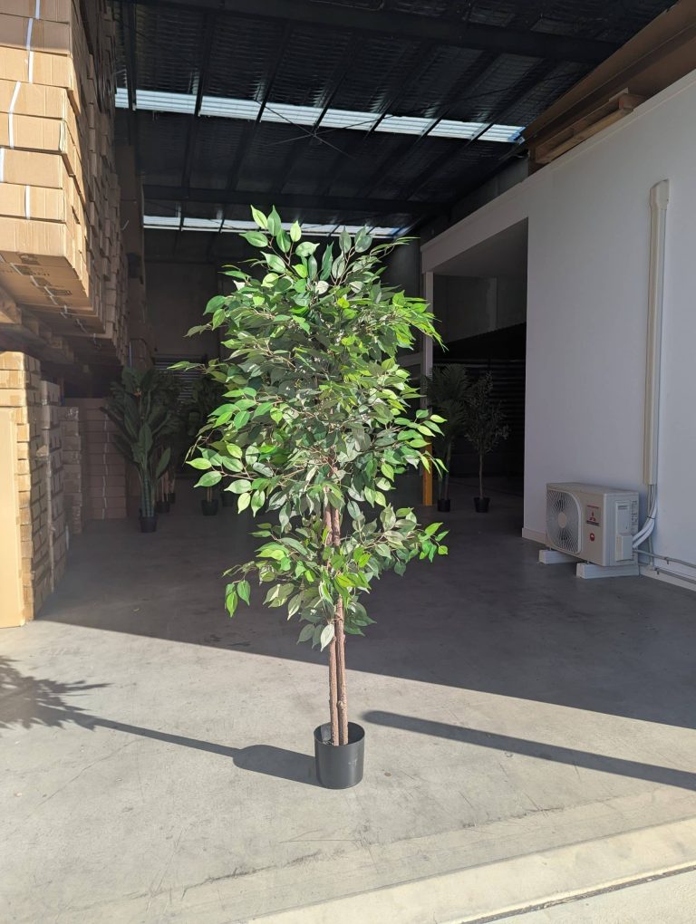 180cm Artificial Ficus