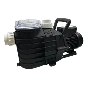 Pool Pumps