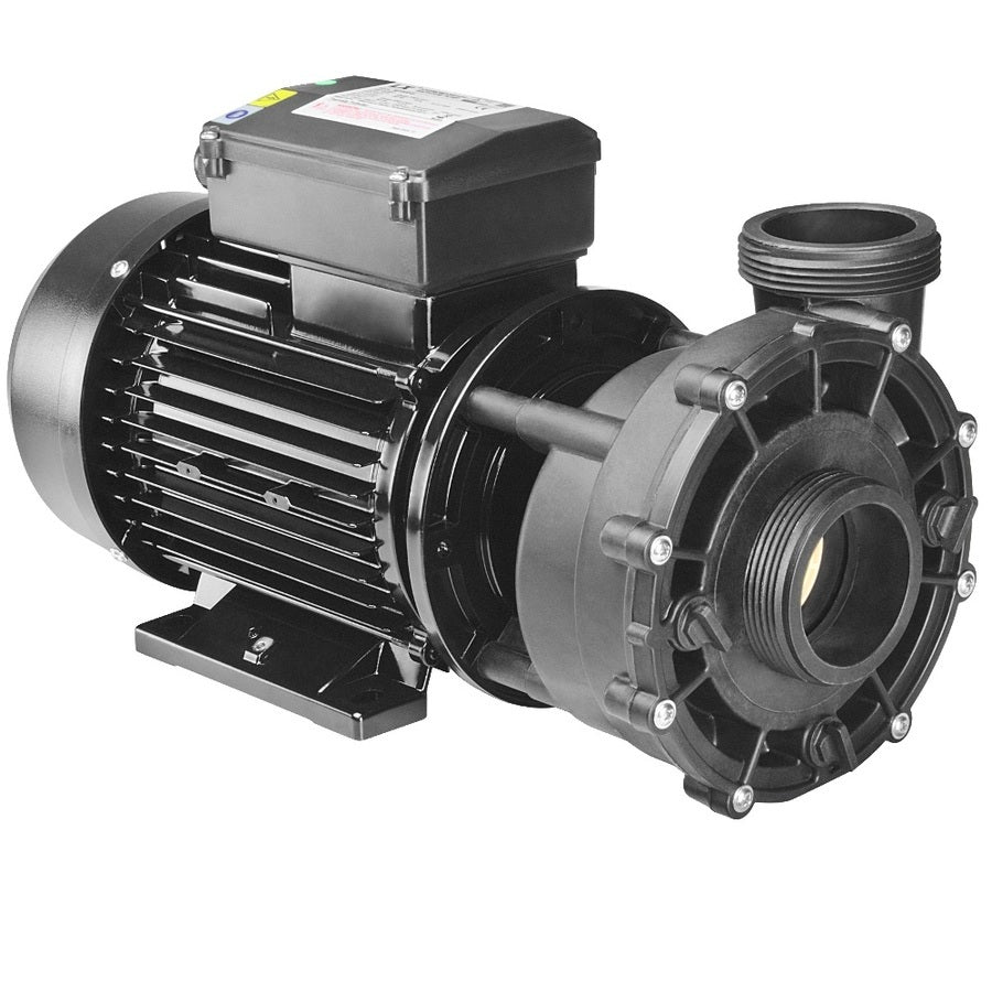 Spa Massage Pump WP200-2 50HZ 2 speed 2HP
