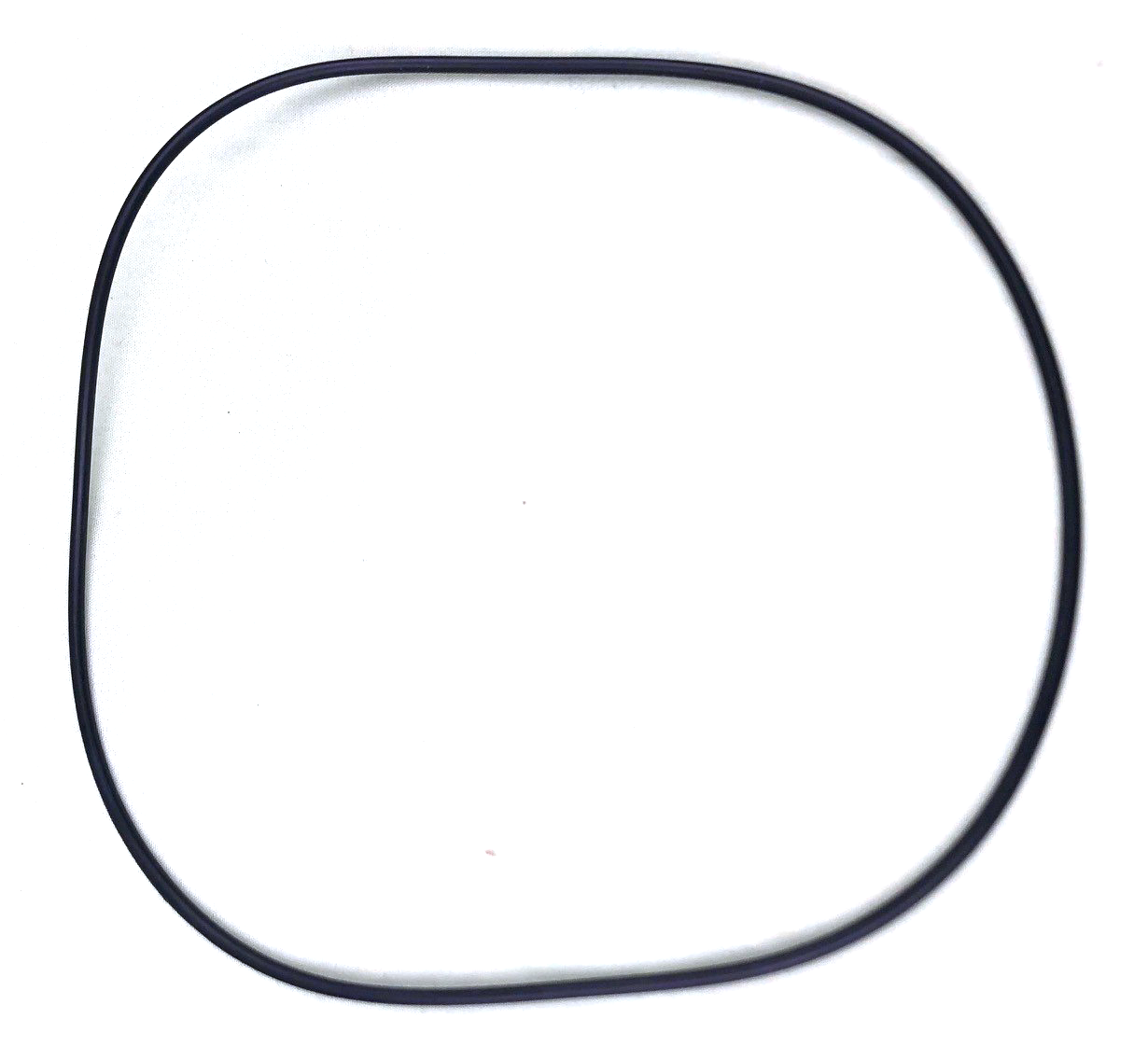 Waterco Portapac Body O'ring