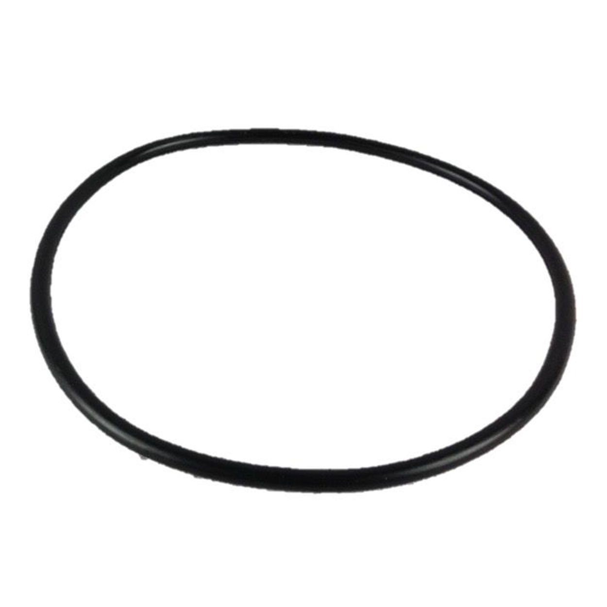 Waterco Filter Lid O'ring