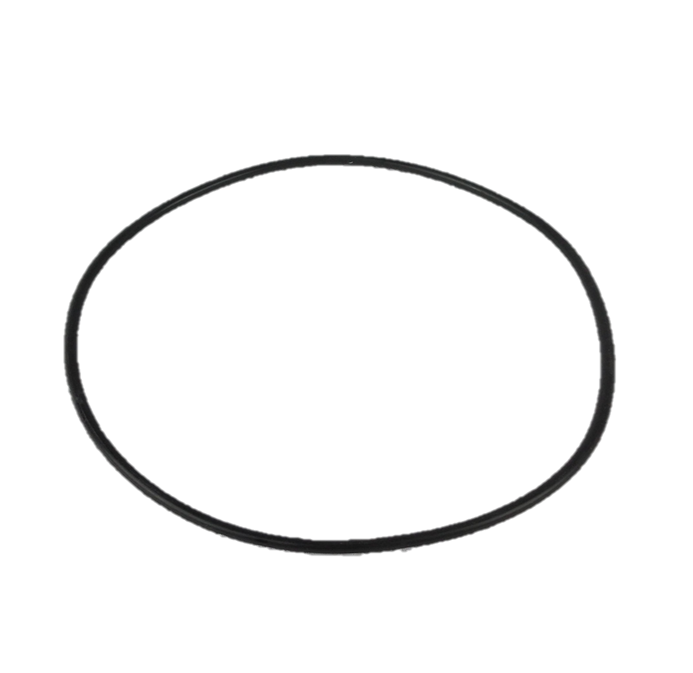O'RING: Waterway Pump Body