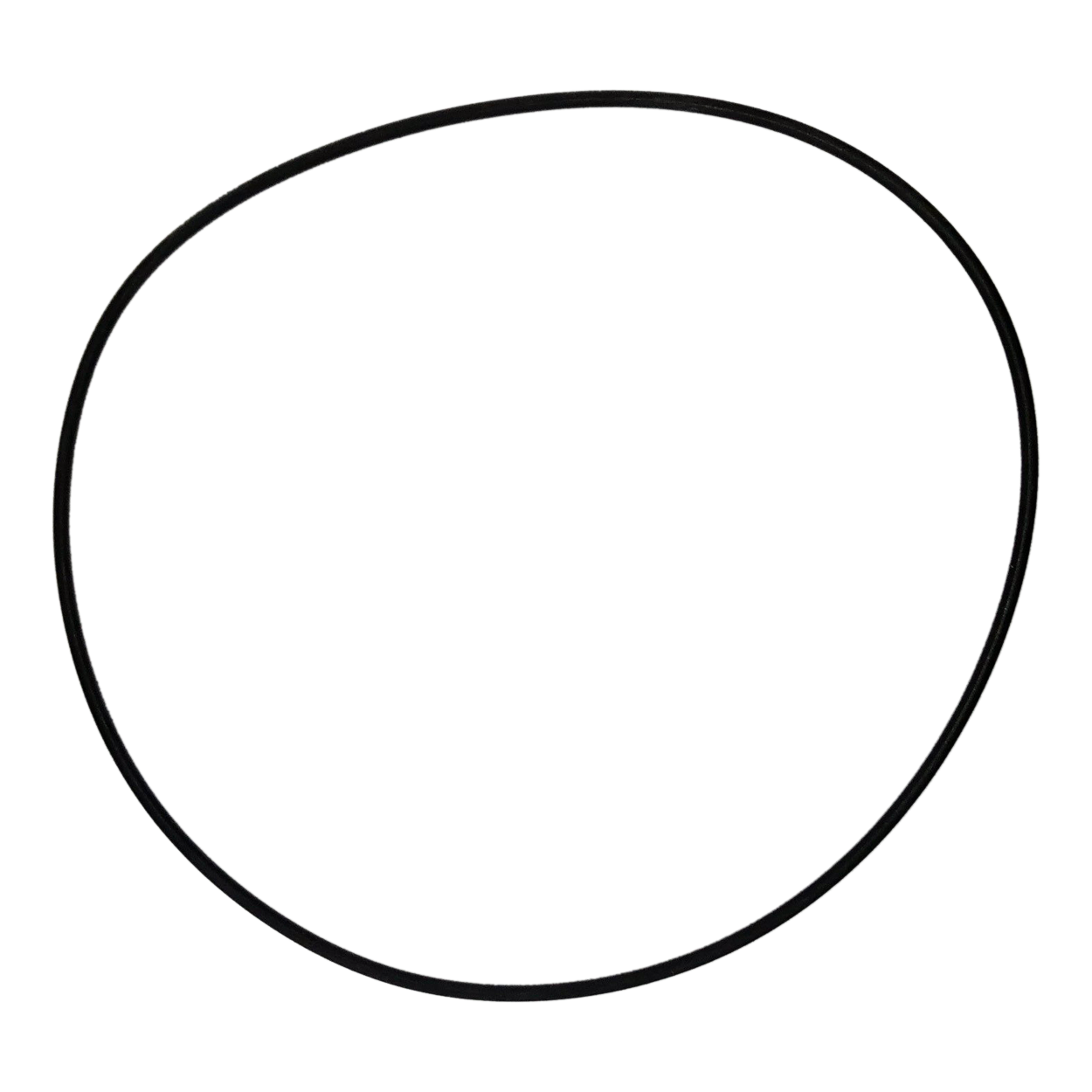 *NLA* - Monster Pump Body O'ring