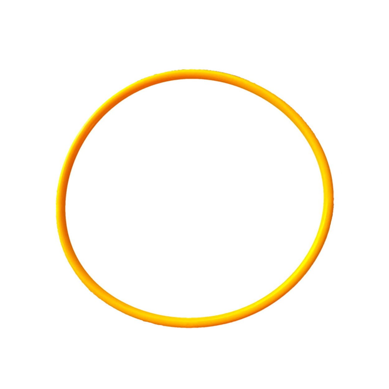 Astral CA/ECA Filter Body O'ring