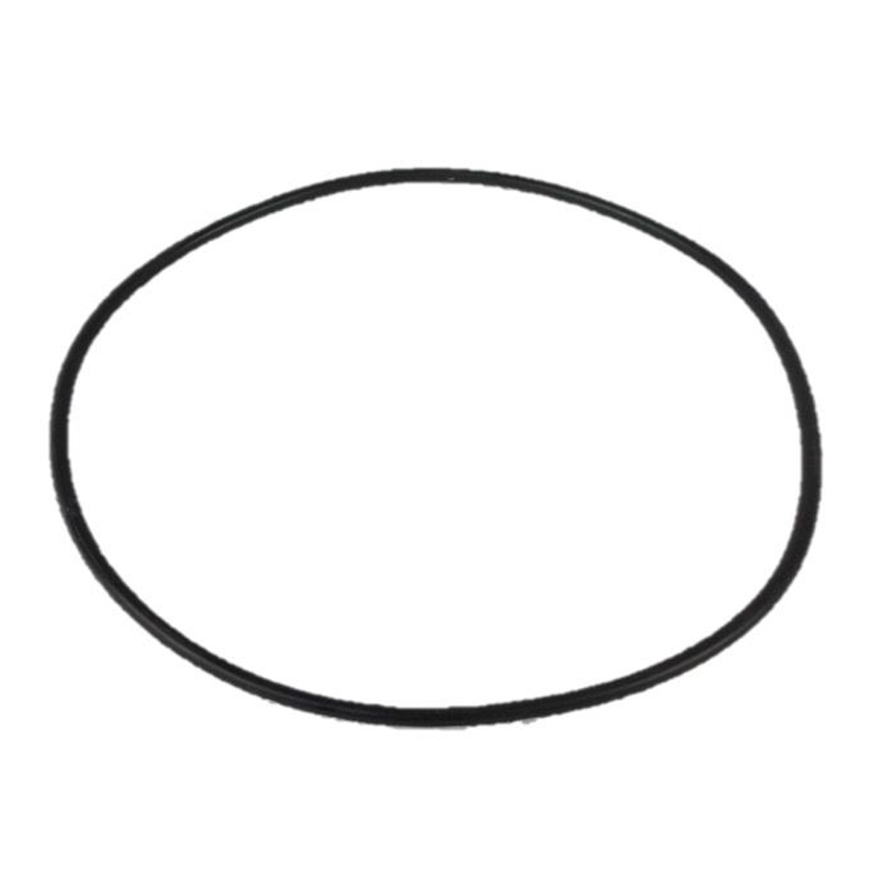 Davey /Spa-QuipSeries 1000 Filter Lid O'Ring