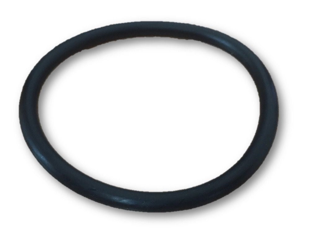 Davey XS/Celsior Pump Union O'ring