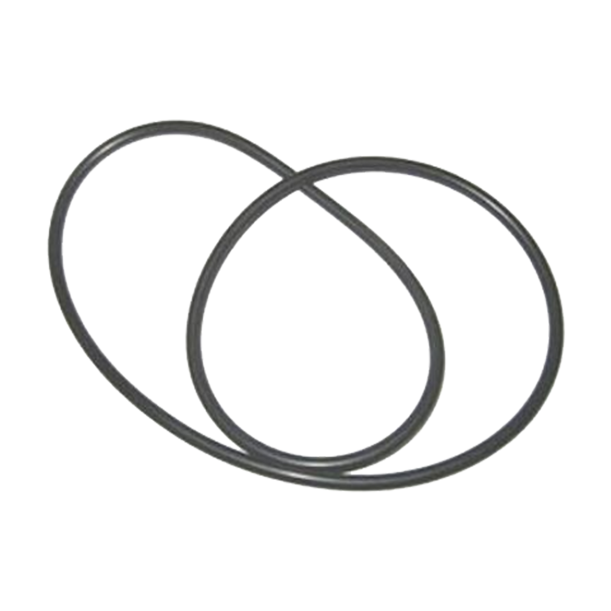 Astral / Hurlcon ZX Filter Lid O'ring