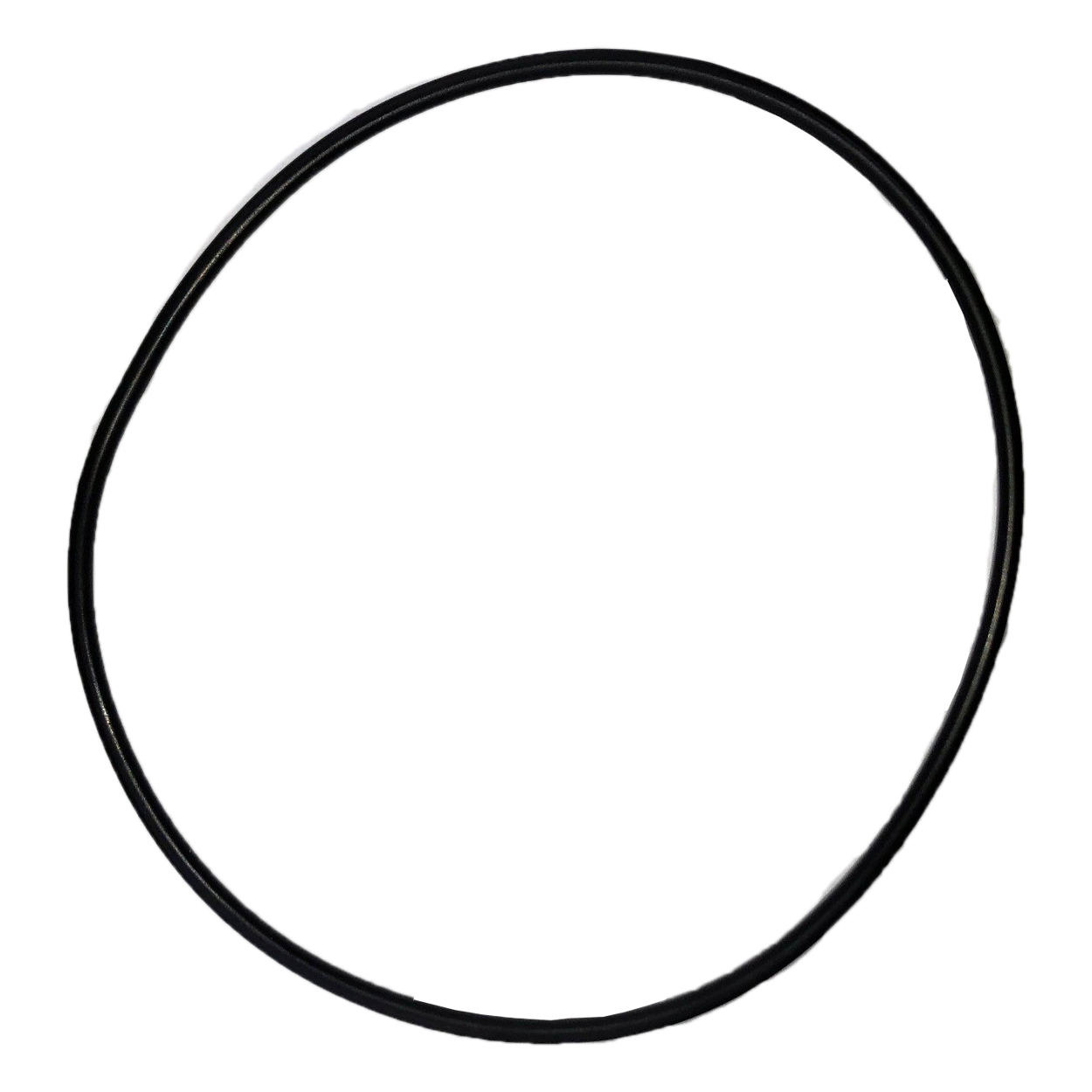 Maxiflow/Magnum Pump Body O'ring