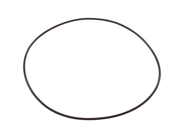 Aqua-Flo XP2/e Body O'ring
