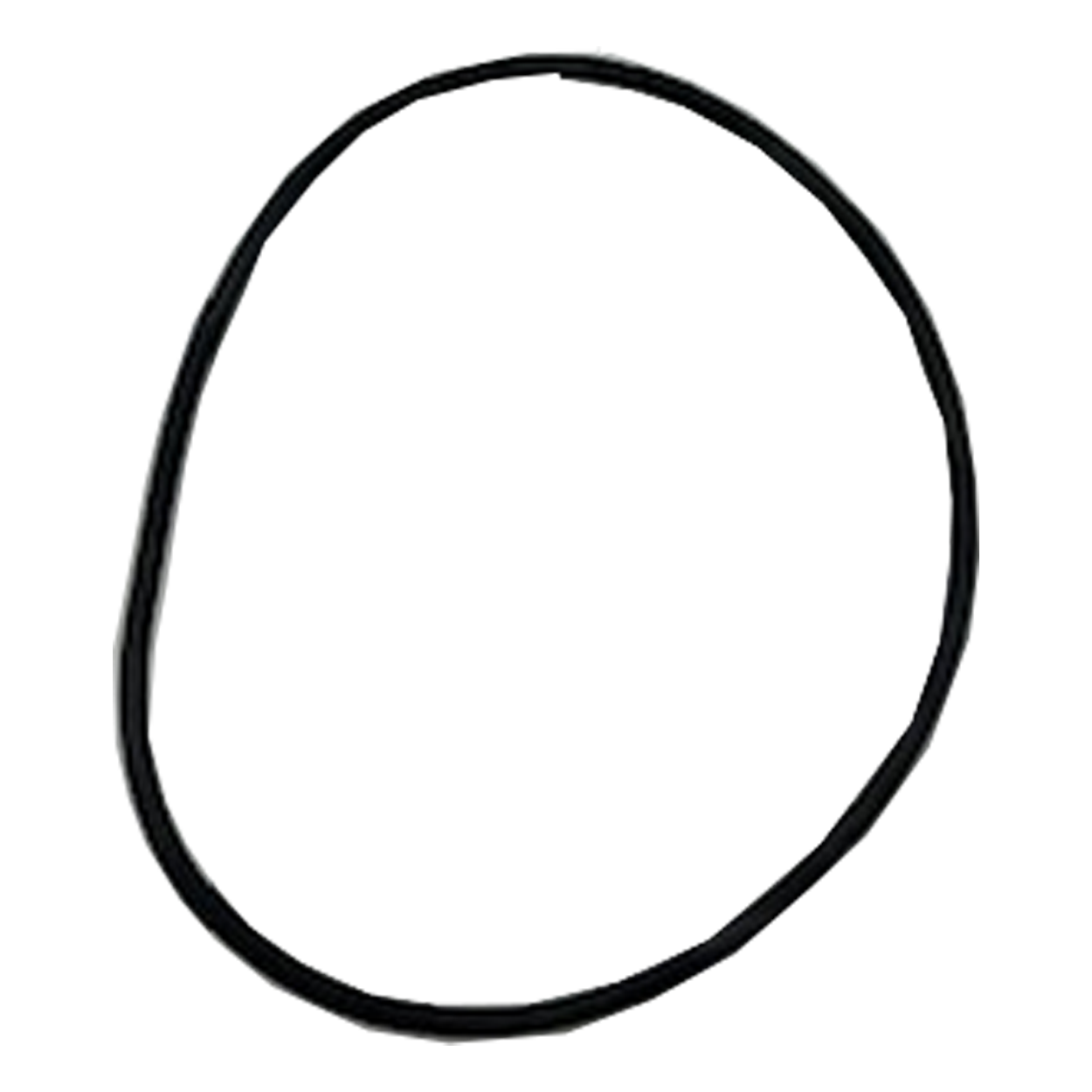 O'RING: Sundance 2" Diverter