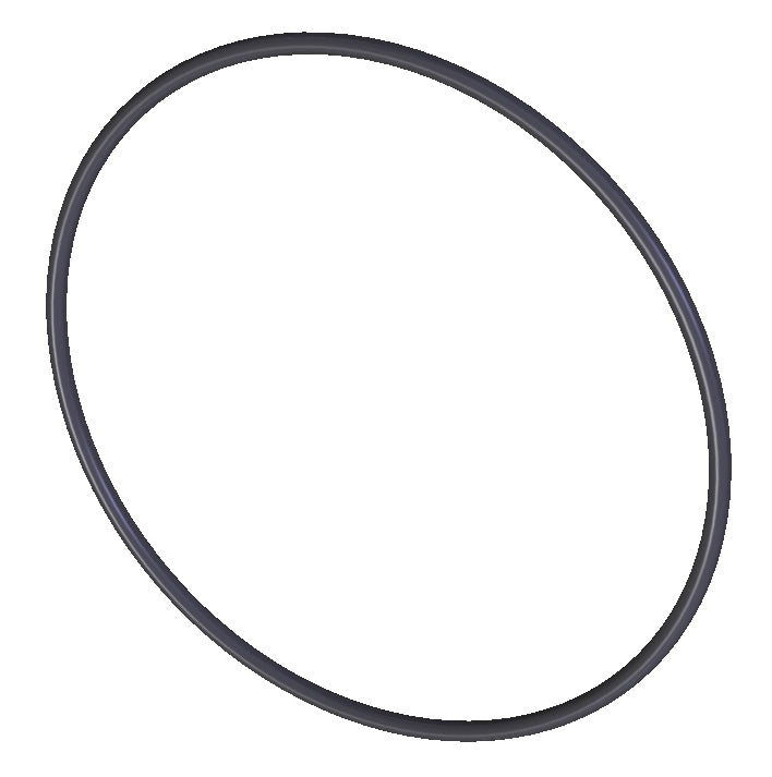 O' Ring - Casing
