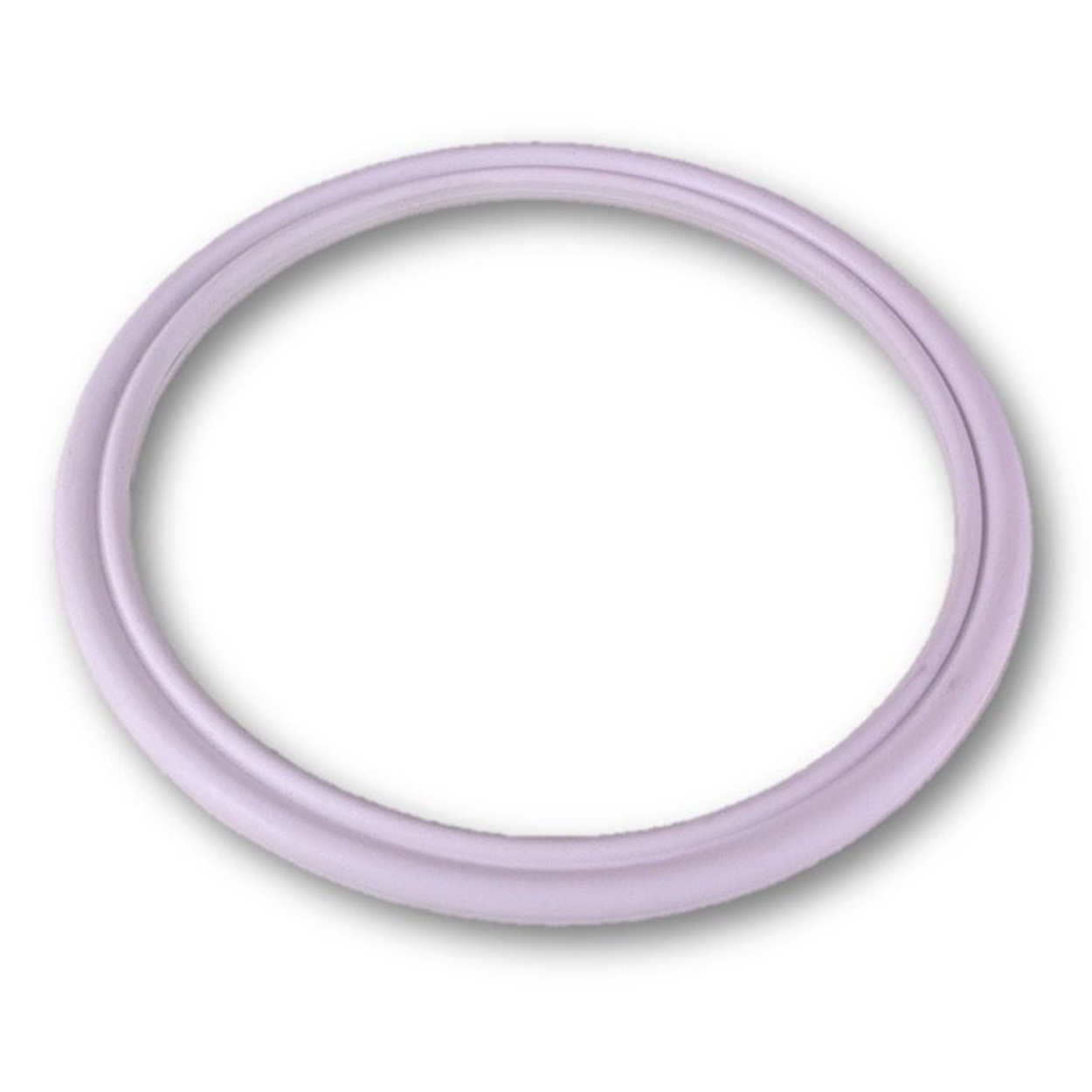 LA Spas Filter Bag O'ring