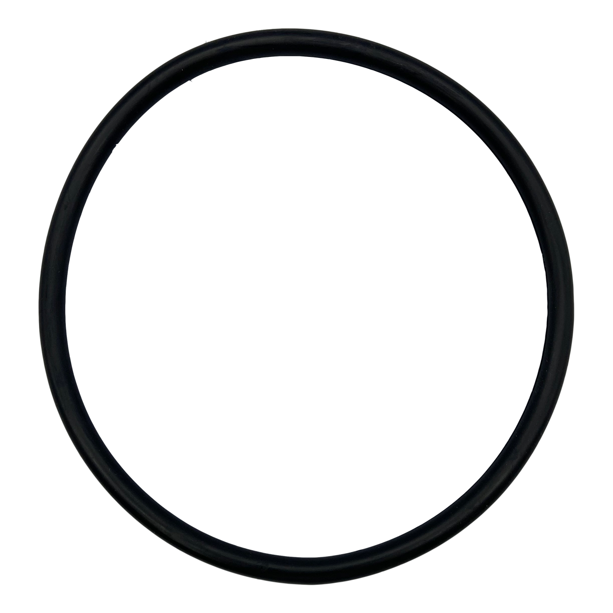 SENSAPOOL SR Pump Lid O-Ring
