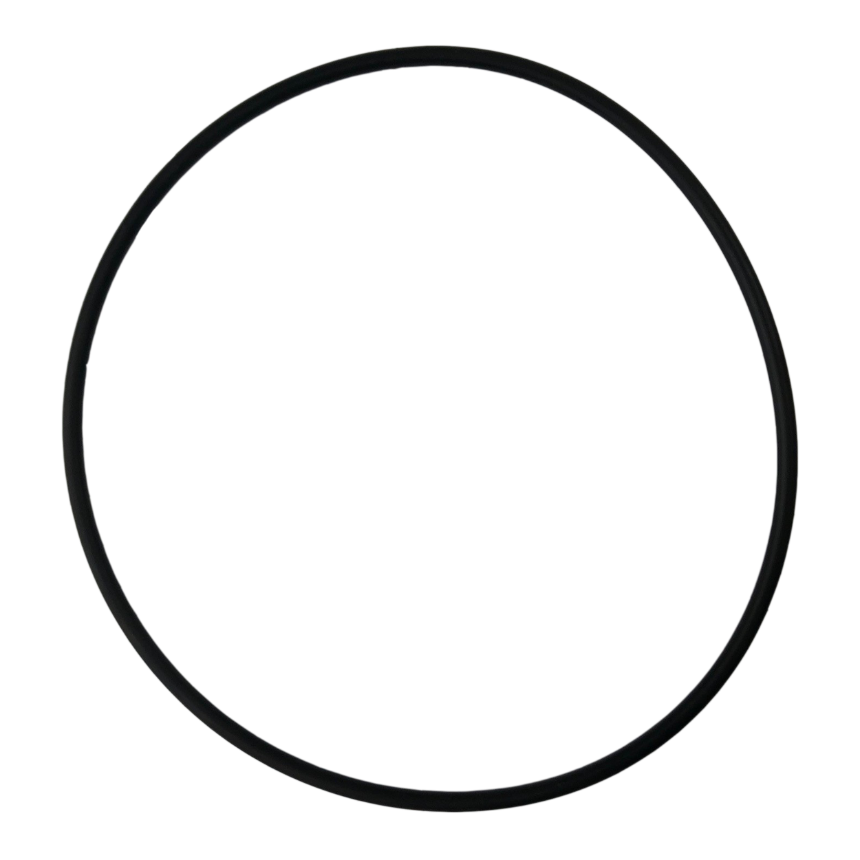 Series 2000/EcoPure Filter Lid O'ring