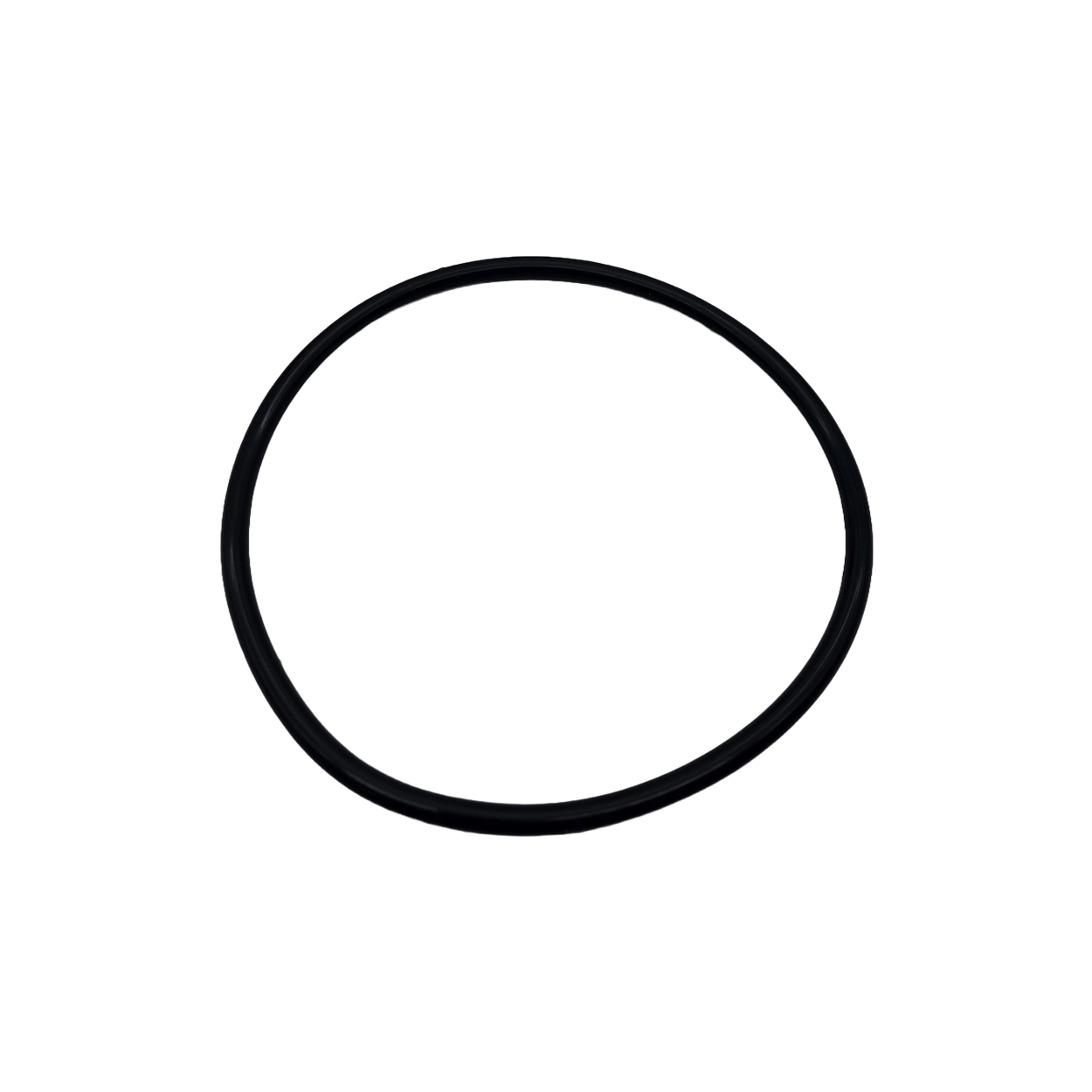 SENSAPOOL SF Pump Body O'ring