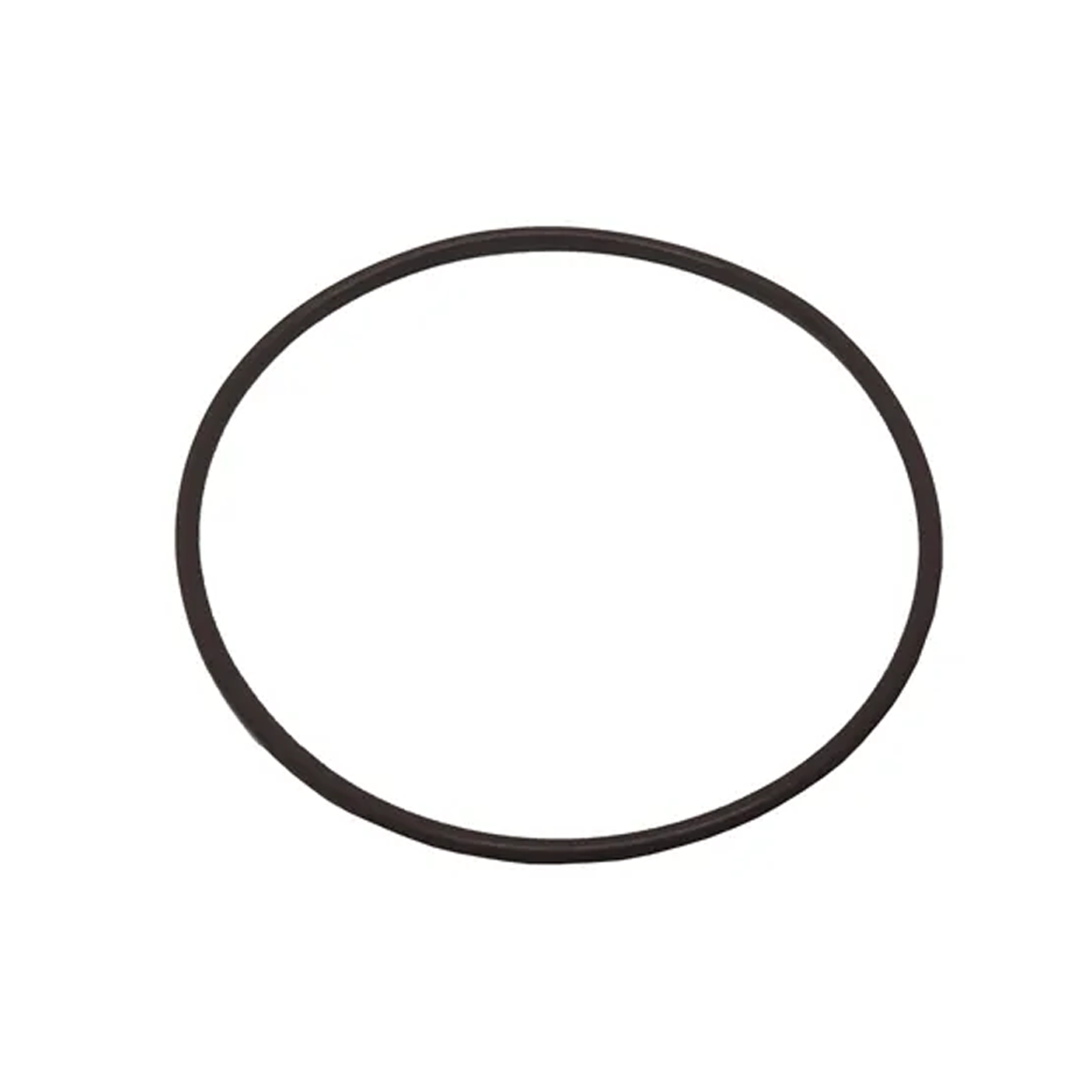 Astral XC Filter Lid O'ring
