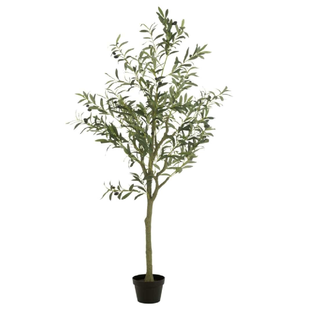180cm Artificial Olive